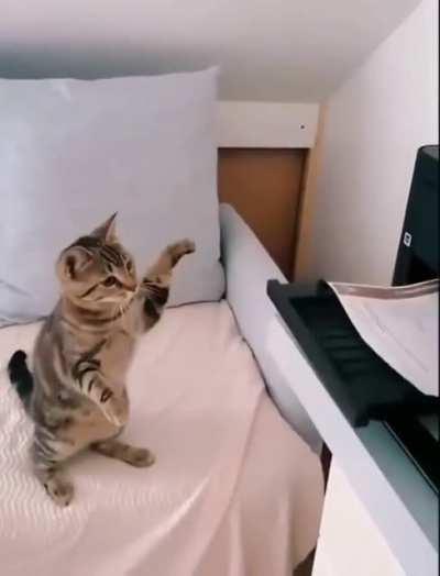 Tech support at work