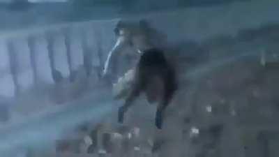 normal pakistani emigrant