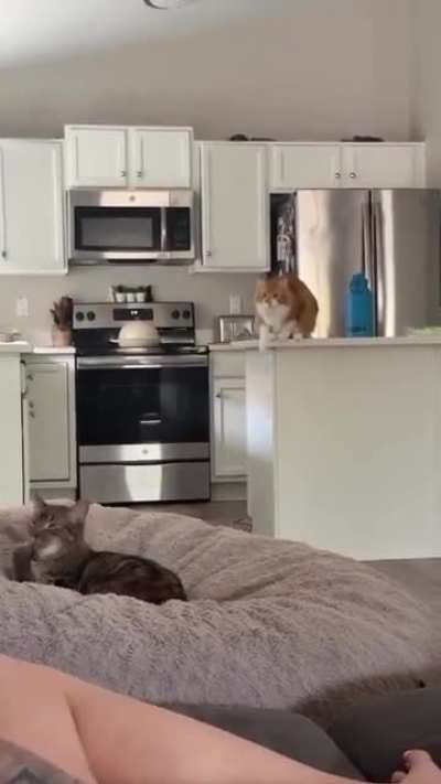 Why did he do that (r)