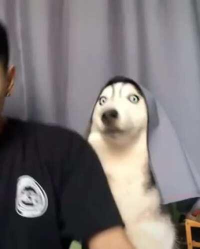 Magic lol... (via @mocachodien)