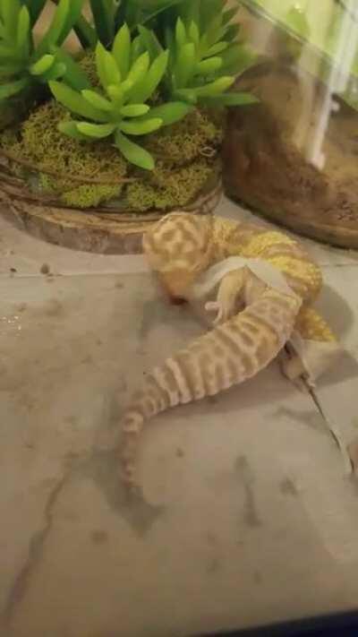 Time to get nakkie 🙃