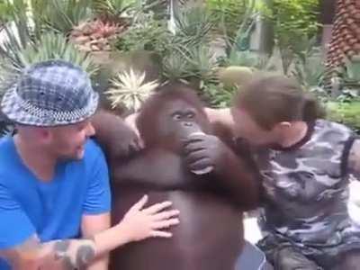 Love hangin' with the boys