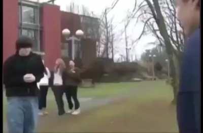 Mentos solves everything