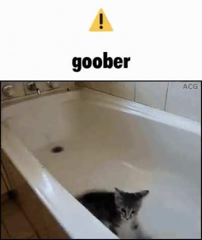 ⚠️Goober Rule