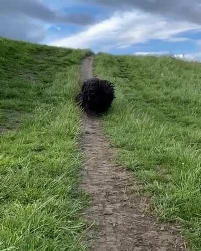 Hello darkness my old friend