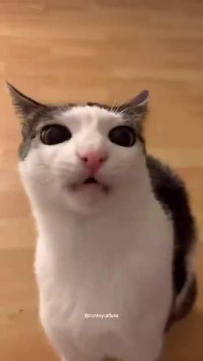 Хрусть, хрусть.