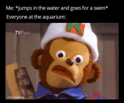 I wonder why they're all looking at me like that