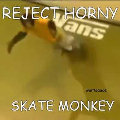 skate monkey