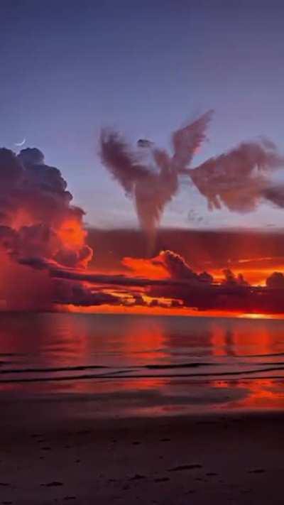 yesterday's crazy sunset at laxmi nagar