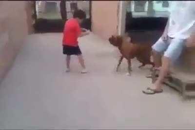 Kkkkkk n tankei a musica do rock balboa no fundo