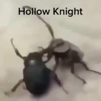 Never played bug fight simulator