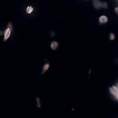 Dreamybull aesthetics edit