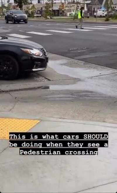 [USA] People suck and need to slow down for pedestrians