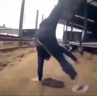 Resisting demonic possession to spin my head around in cow shit