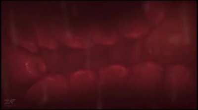 Deep pounding and creampie