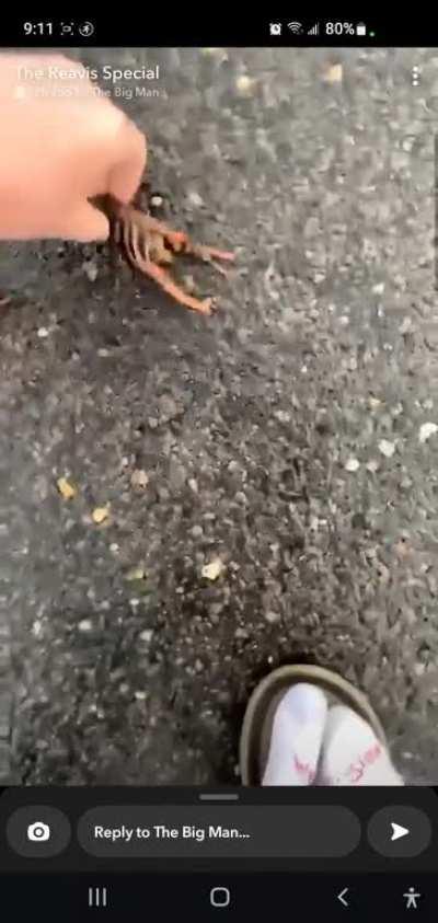 clammed Jimmy and timmy