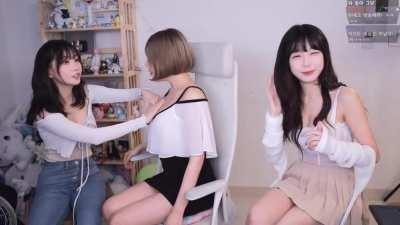 sooflower & friends booba inspection