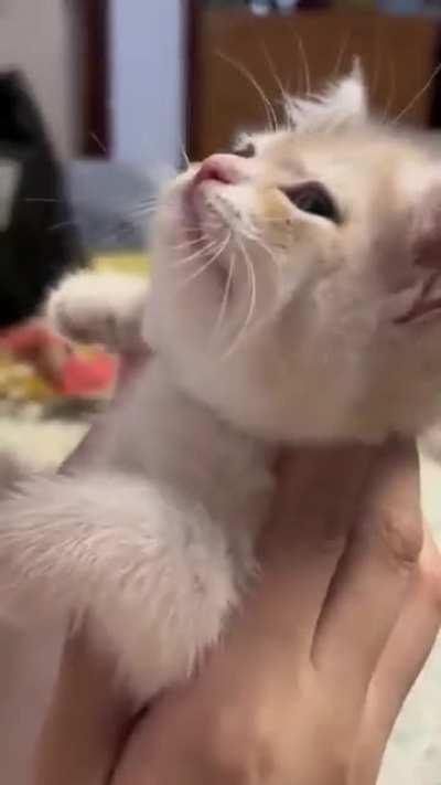 You can hear the righteous indignation build