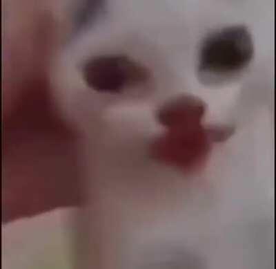 DylanteroYT - Video #8024