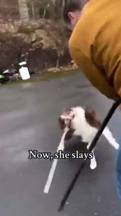 Losercity's noble Knight and protector