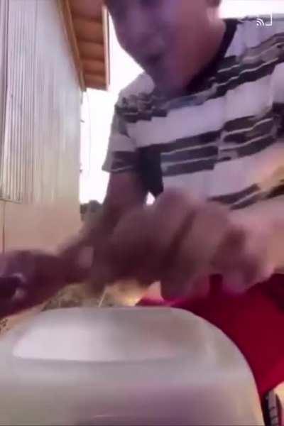 blursed_fire_cracker