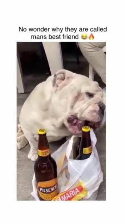 Must protect this good boy at all costs