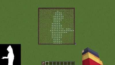 I made a way to play videos on axolotls with command blocks!