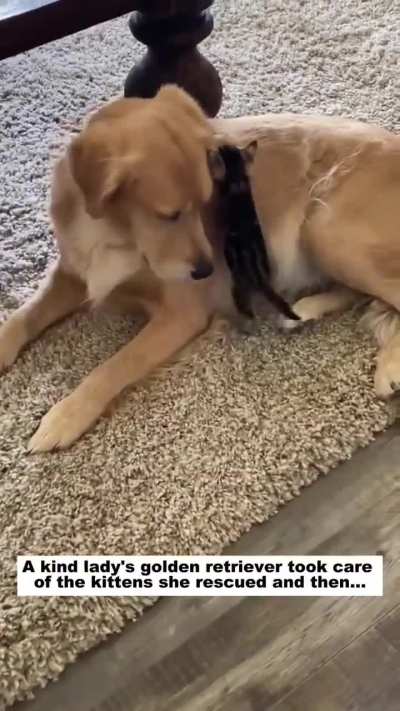 They are so adorable