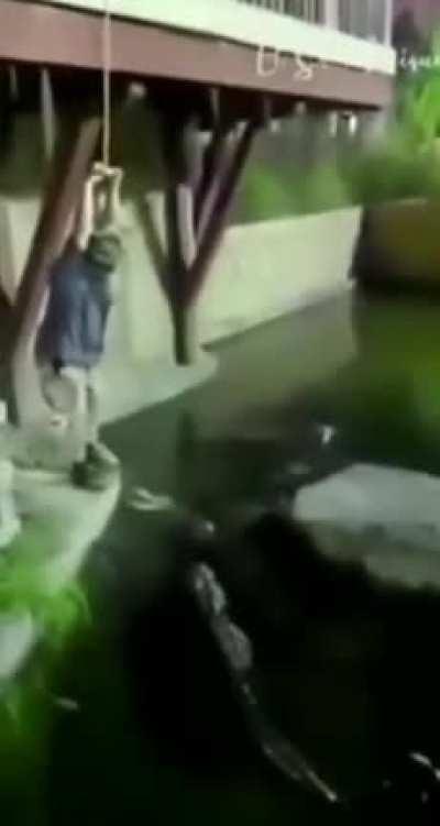 Tarzan did it better.