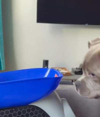 On one hand, he&rsquo;s figured out the ball launcher&hellip;on the other hand&hellip;