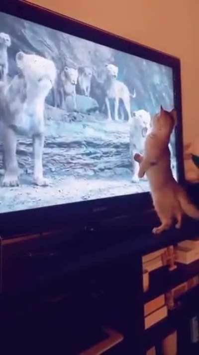 Scared his relatives