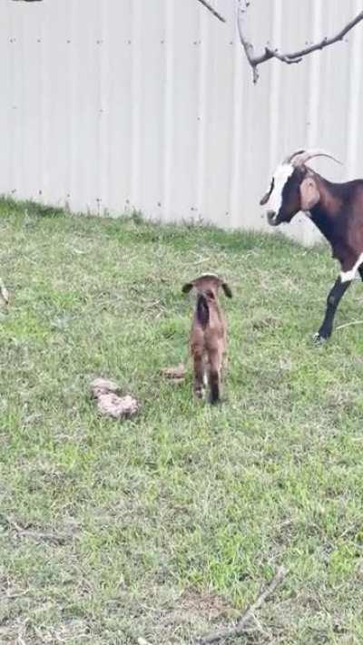 2 more kids. 20 more to go 😂