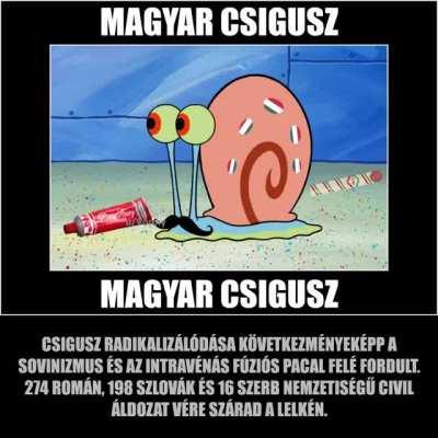 Cs*gusz 😳😳😳