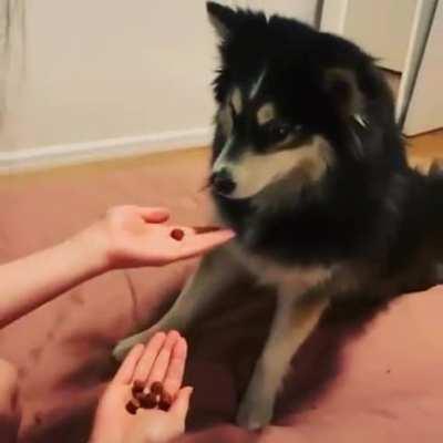 Look at his reaction