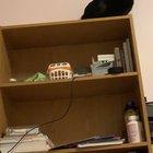 He jumped on the shelf and started screaming