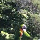 He’s got the moves