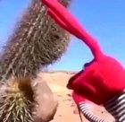 This is a big moment