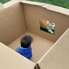 One way to play fetch and while keeping your toddler contained