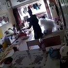 Made the poor dog jump