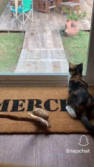 غودا 😂😂😂😂