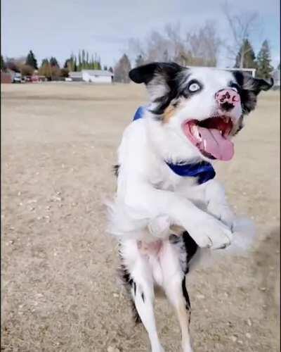 I found this cape at the store, and I couldn't resist. Super Milo! We had way too much fun with this.