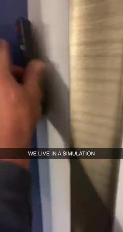 We live in a simulation