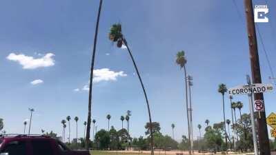 This was never a bug people..