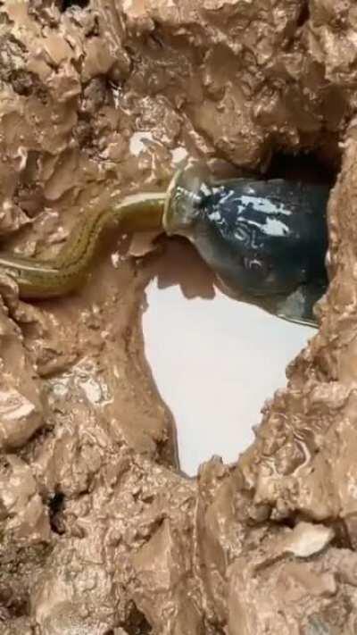 Thanks I hate.. nature!?... and holes!?... and squirmy things!?..