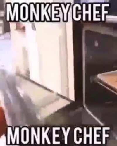 Quiero un mono de mascota