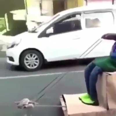 Cars in Mexico 🇲🇽 🇲🇽 Right Now