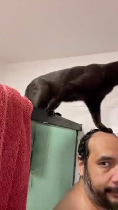 When your cat gets thirsty mid shower