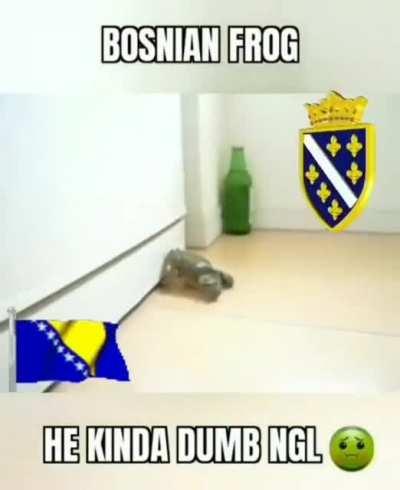 Serbia frog 🐸💪🏼💪🏼❤️ Bosnia frog kinda krinj ngl 🤮🤢🏳️‍🌈