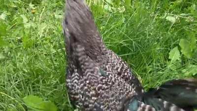 Caught sleeping on the job