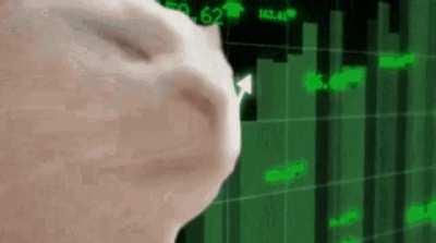 🚀 ALL LRC hodlers right now 🚀